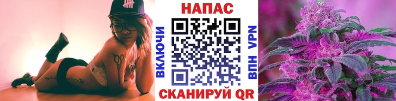 ГАШИШ Сосновый Бор