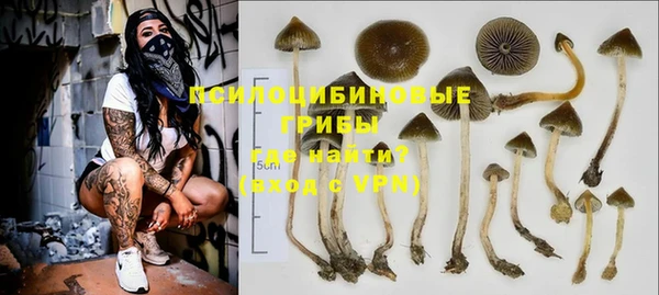 гидра Баксан